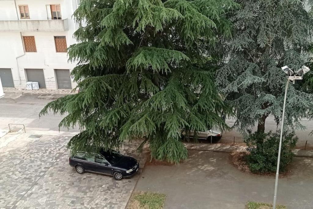 Appartamento Terrazza Bella Vista Cisternino Dış mekan fotoğraf